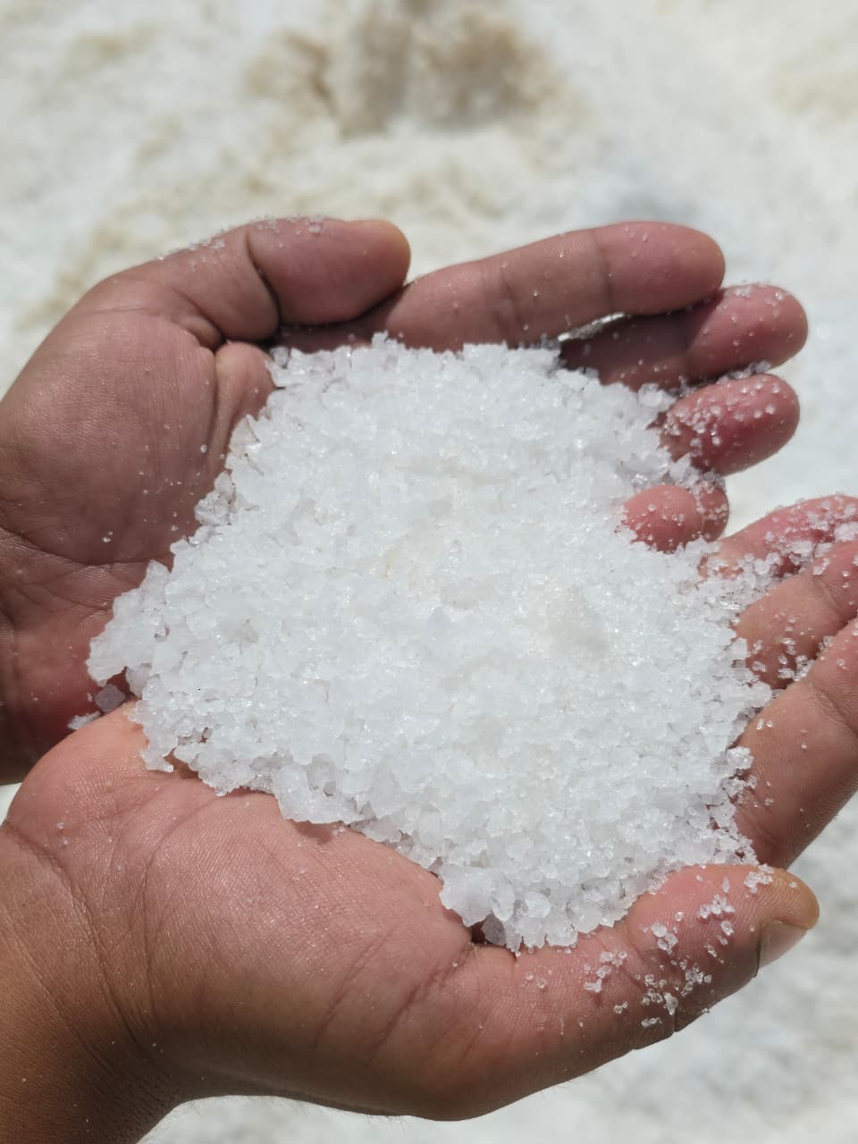 Marine Salt / Sea Salt — 2